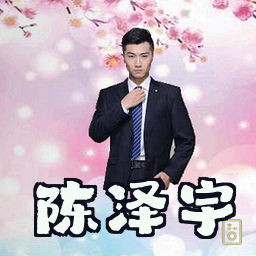 陈泽宇